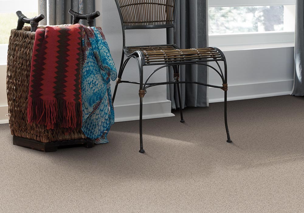 Accent Texture Color Destination CarpetsPlus Anso Carpet