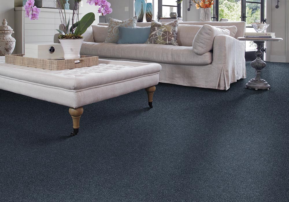 CarpetsPlus Color Destination