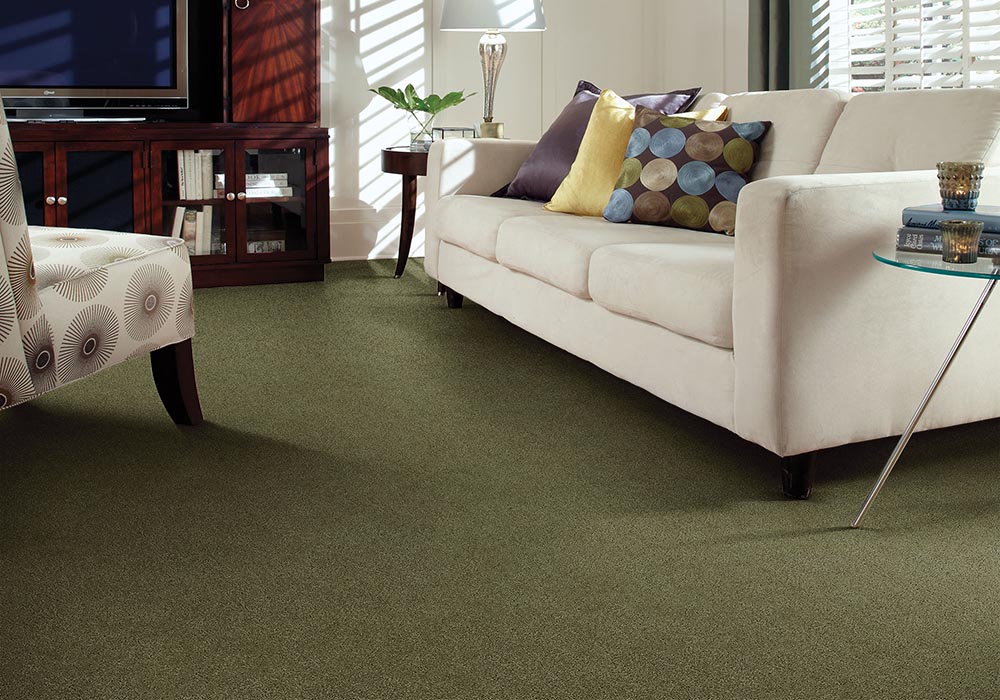 CarpetsPlus Color Destination